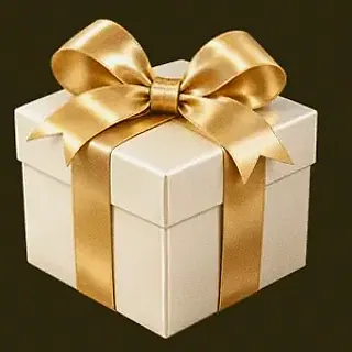 Wrapped gift box — Slotsgem