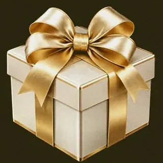 Gift box — Slotsgem
